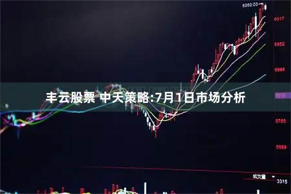 丰云股票 中天策略:7月1日市场分析