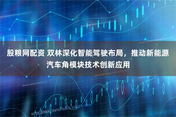 股粮网配资 双林深化智能驾驶布局，推动新能源汽车角模块技术创新应用