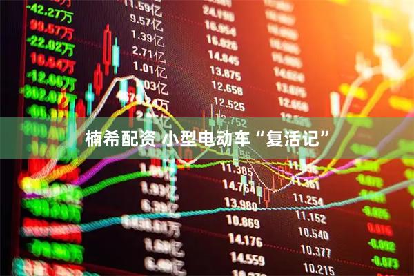 楠希配资 小型电动车“复活记”