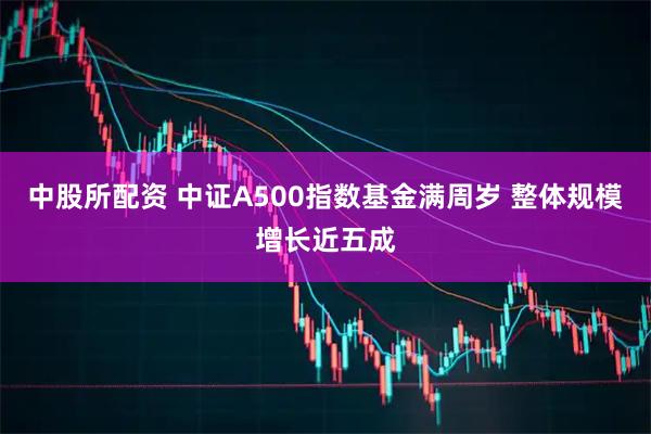 中股所配资 中证A500指数基金满周岁 整体规模增长近五成